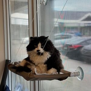 Meet your Posher, Caroline